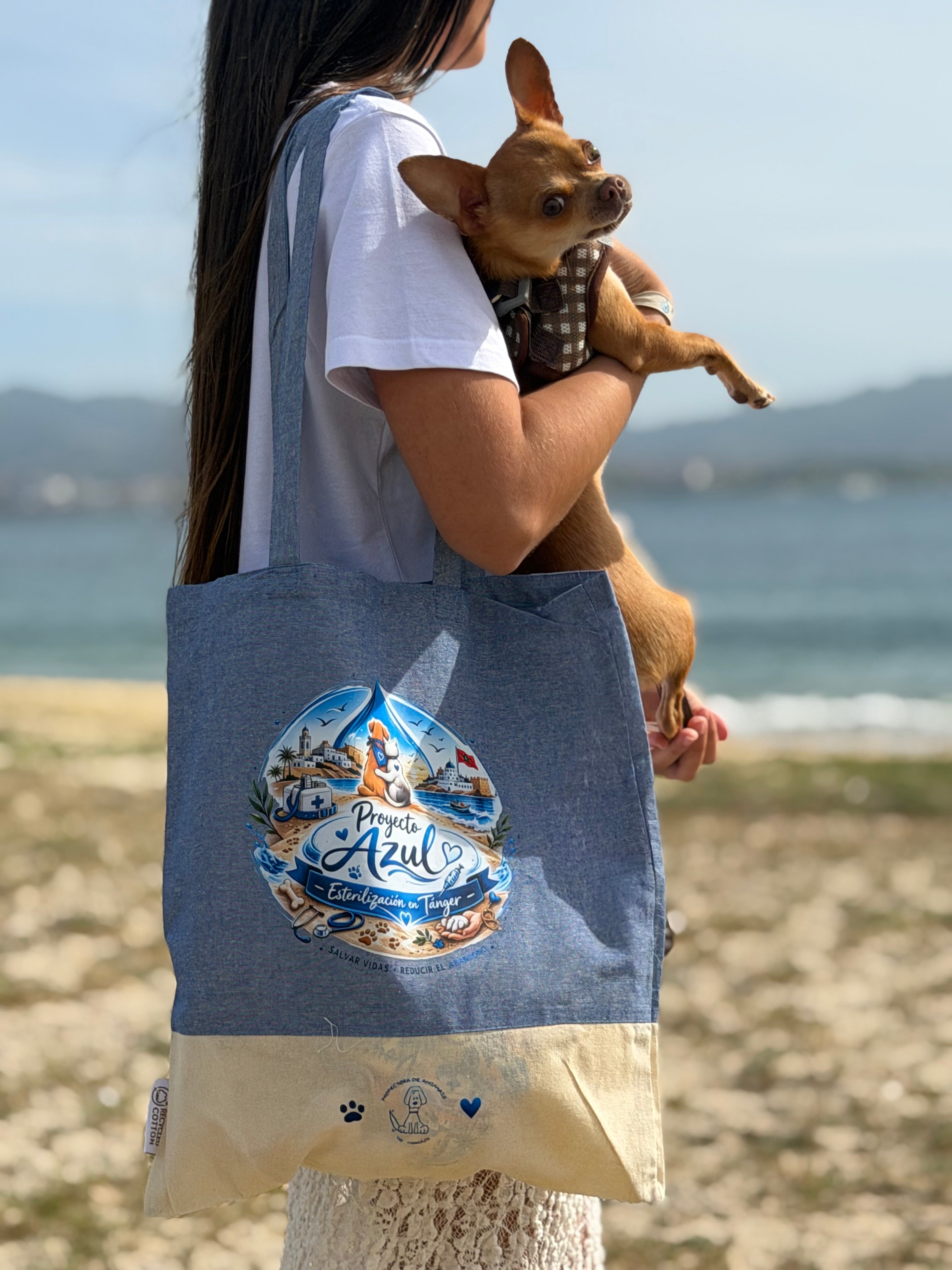 Tote Bag Bicolor